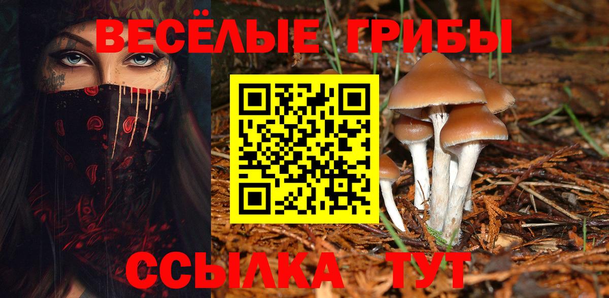Нефтекамск  Псилоцибиновые грибы Psilocybine cubensis  Вход с VPN 